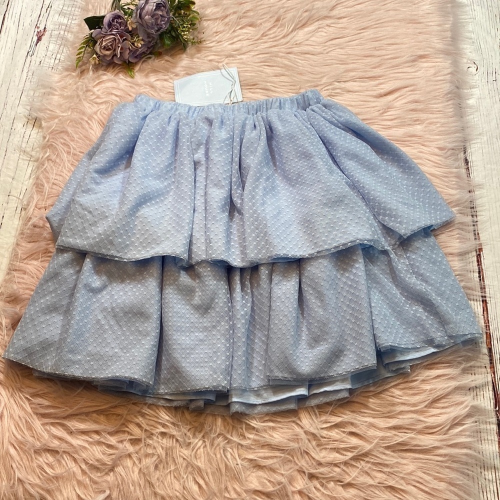 NWT Hill House The Clara Tulle Skirt in Powder Blue sz S